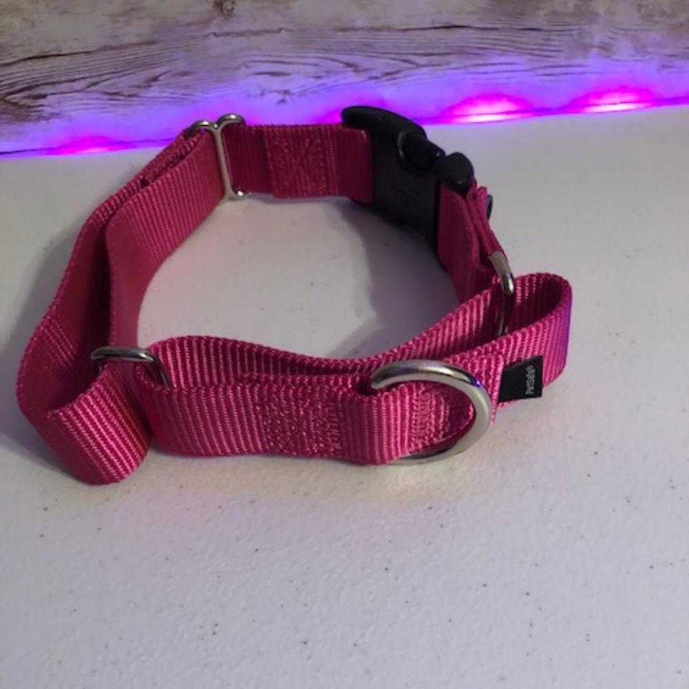 PetSafe Quick Snap Buckle Nylon Martingale Dog Collar